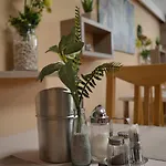 Frühstückspension Alfred Panzio 3*
