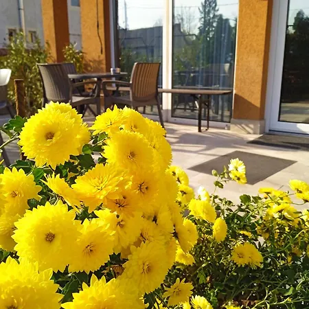 Bed & Breakfast Alfred Panzio Budapest