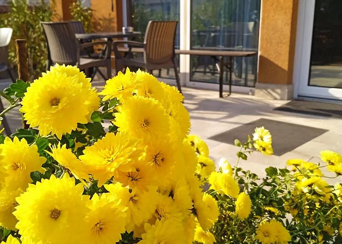 Bed & Breakfast Alfred Panzio Budapest